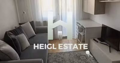 Apartament Șagului
