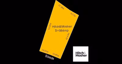 Teren Aradului