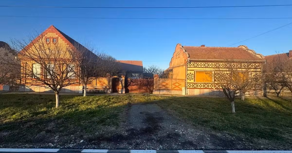 Casă individuală de vânzare cu 11 camere în Belinț