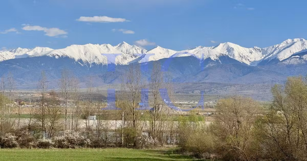 Teren agricol extravilan de vânzare de 10000 mp, în Bradu