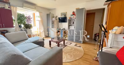 Apartament Buziașului