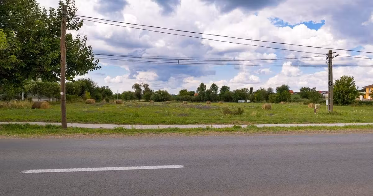 Teren Construcții intravilan de vânzare de 2305 mp, în Bodrogu Nou