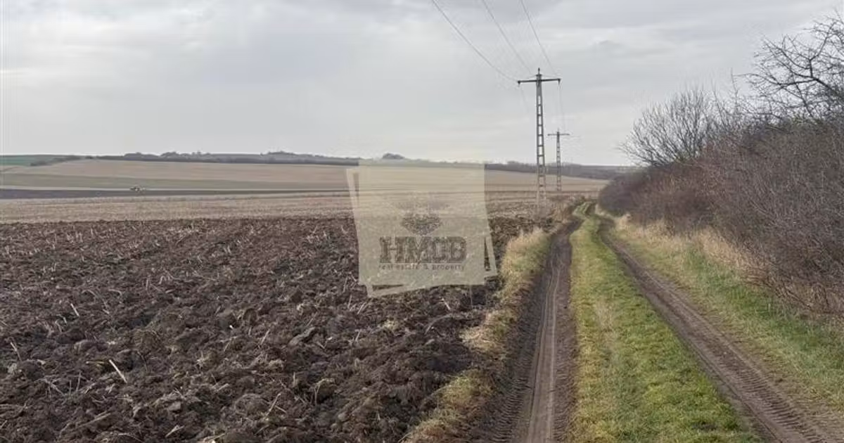 Teren agricol extravilan de vânzare de 20300 mp, în Șura Mică