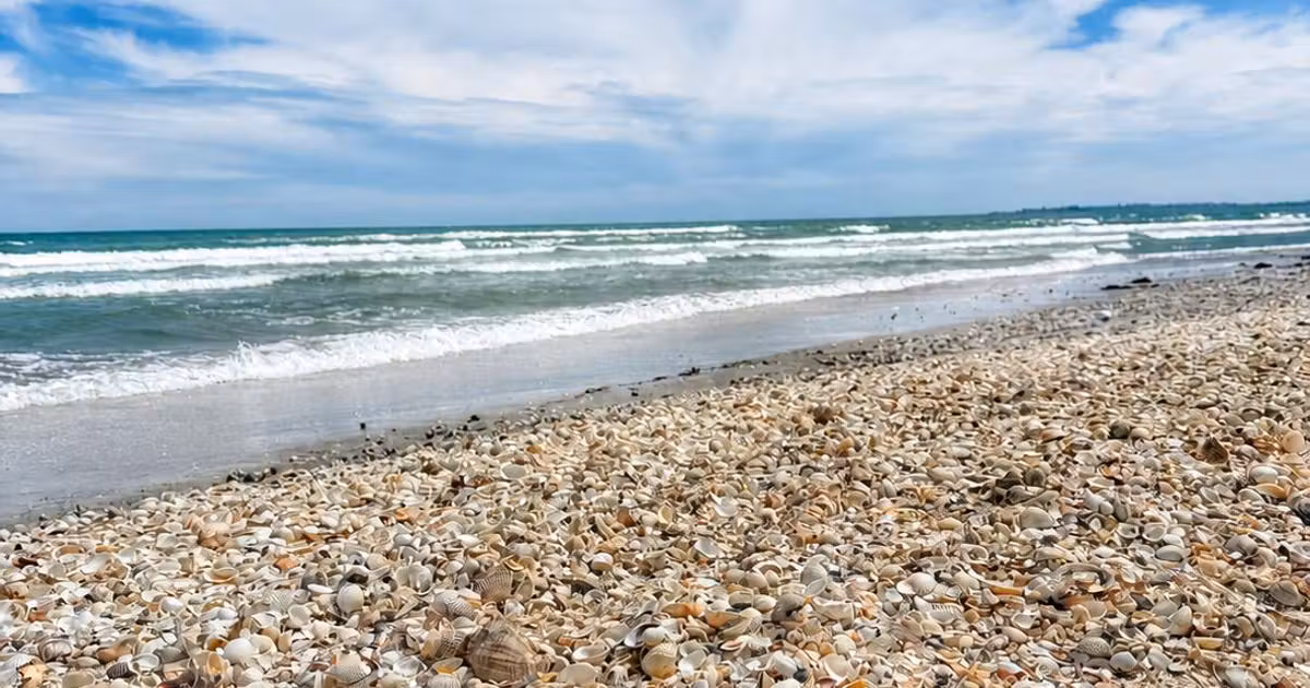 Apartament de vânzare cu 2 camere în Mamaia
