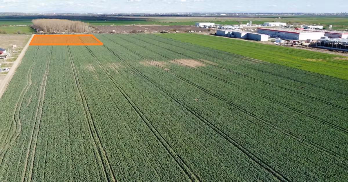 Teren Construcții intravilan de vânzare de 4923 mp, în Sânandrei