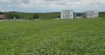 Teren Varlaam