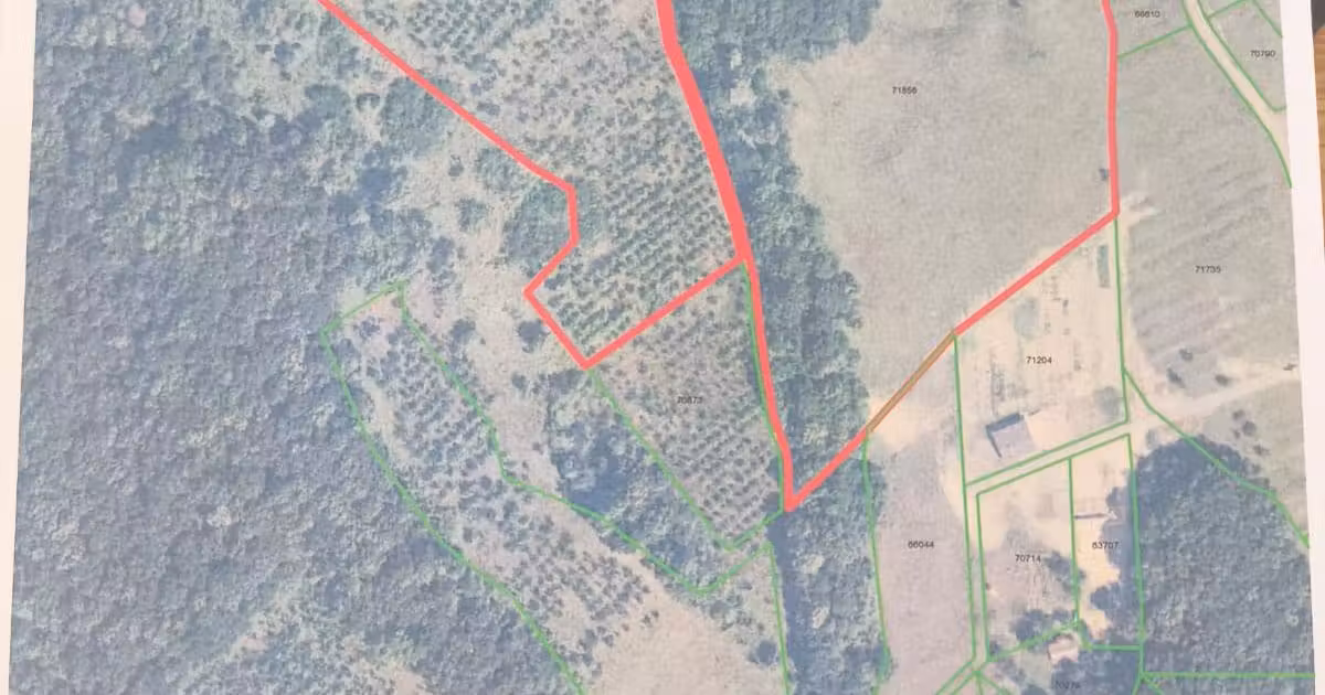 Teren intravilan de vânzare de 35772 mp, în Bârnova