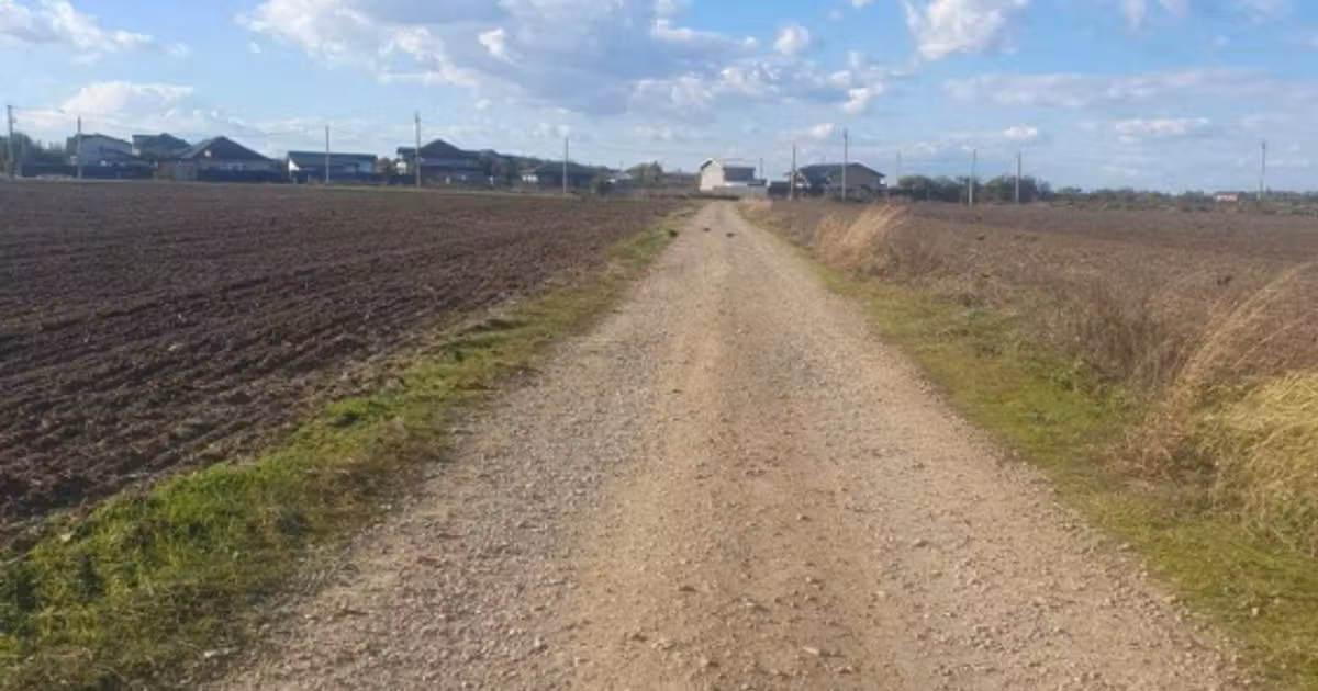 Teren Construcții intravilan de vânzare de 16608 mp, în 1 Decembrie