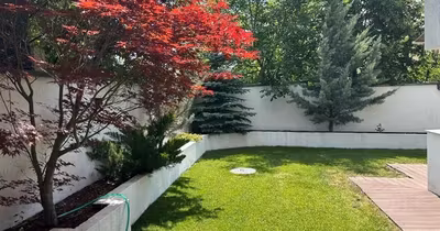 Apartament Bucium