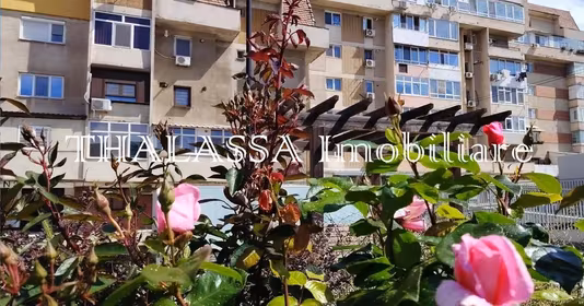 Apartament Lăpuș