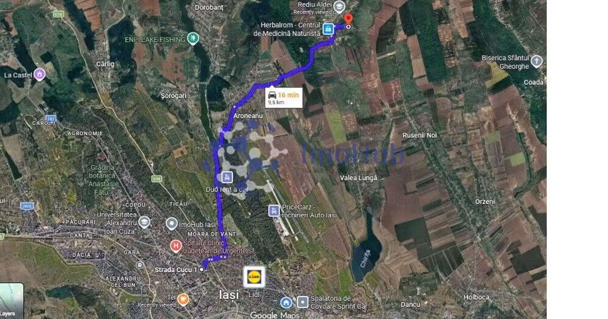 Teren Construcții intravilan de vânzare de 10000 mp, în Rediu Aldei