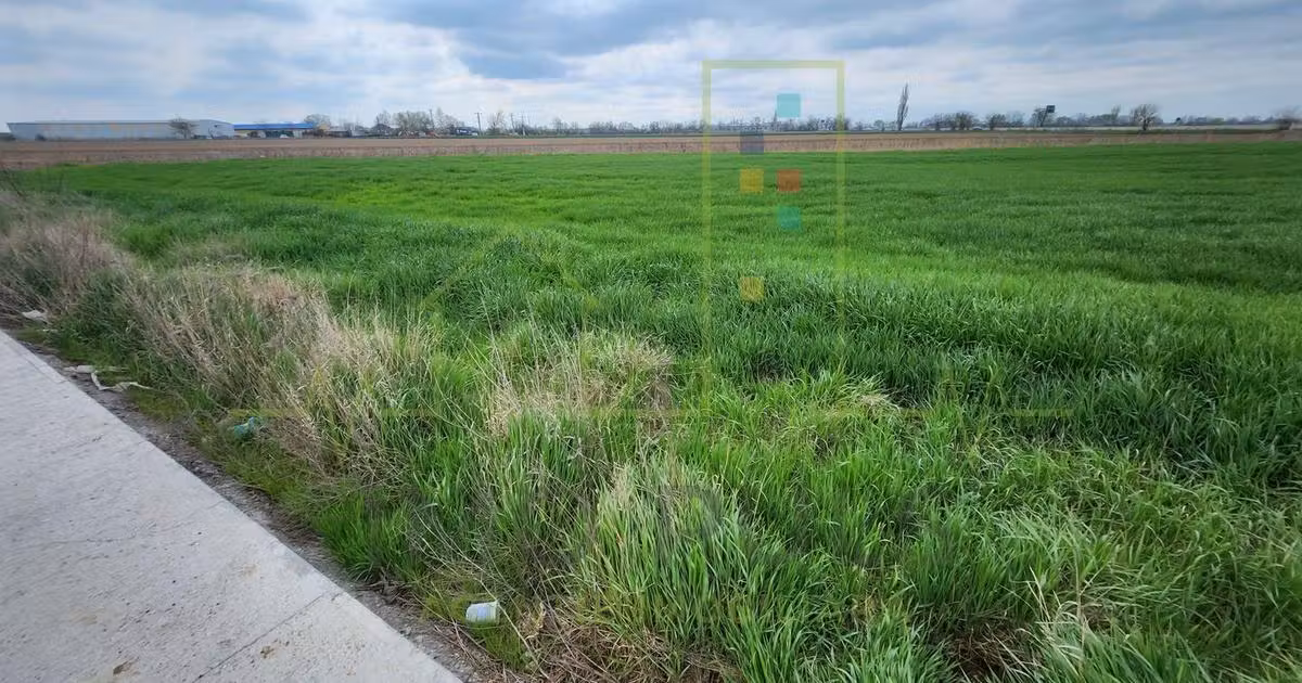 Teren agricol intravilan de vânzare de 10000 mp, în Șag