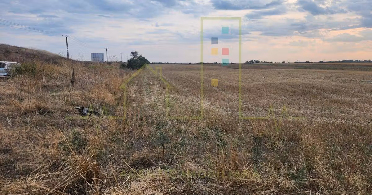 Teren agricol extravilan de vânzare de 20000 mp, în Șag