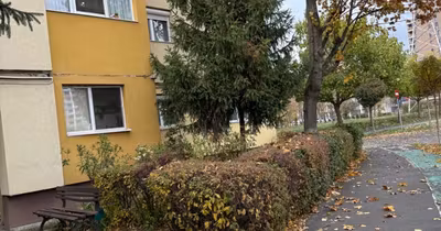 Apartament Soarelui