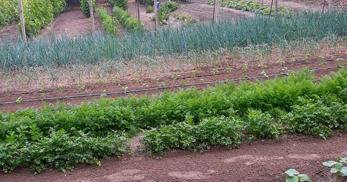 Casă individuală de vânzare cu 5 camere în Seimeni
