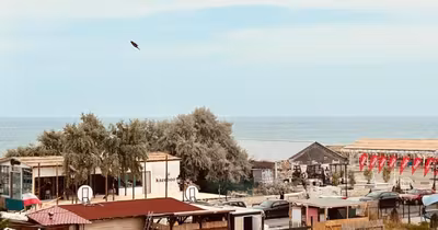 Apartament Mamaia-Sat