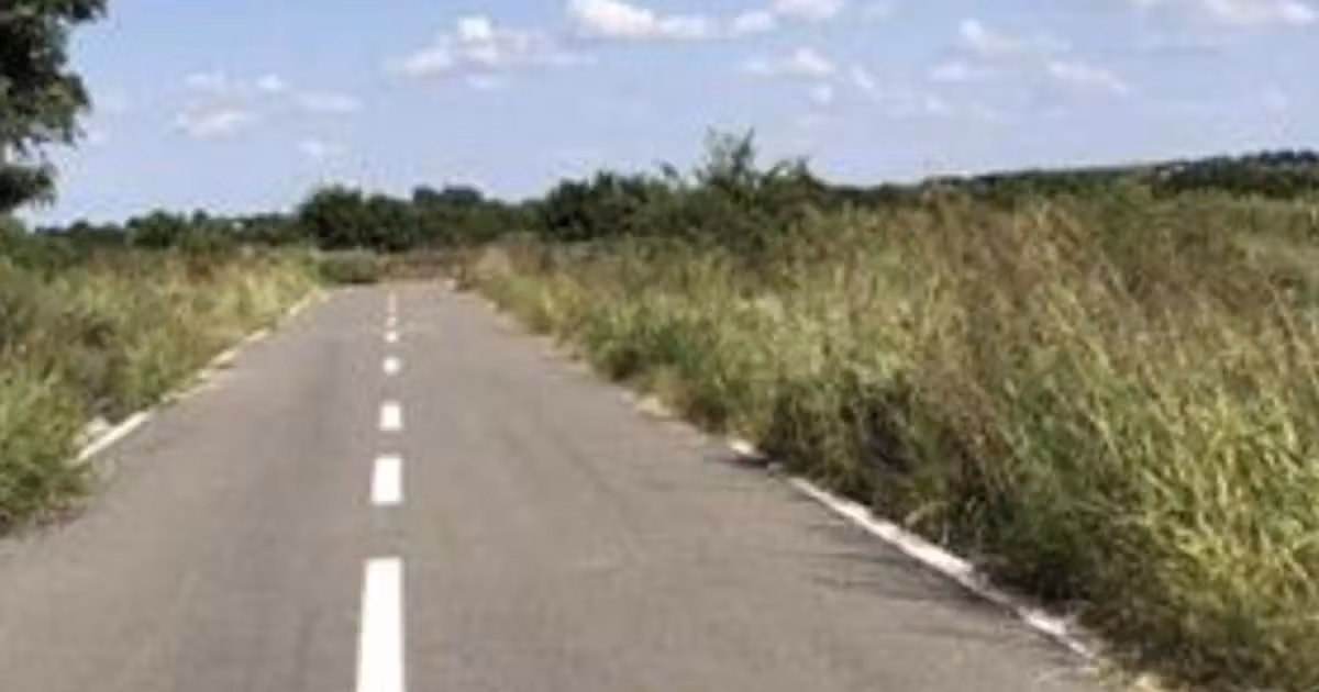Teren agricol intravilan de vânzare de 16000 mp, în Măgurele