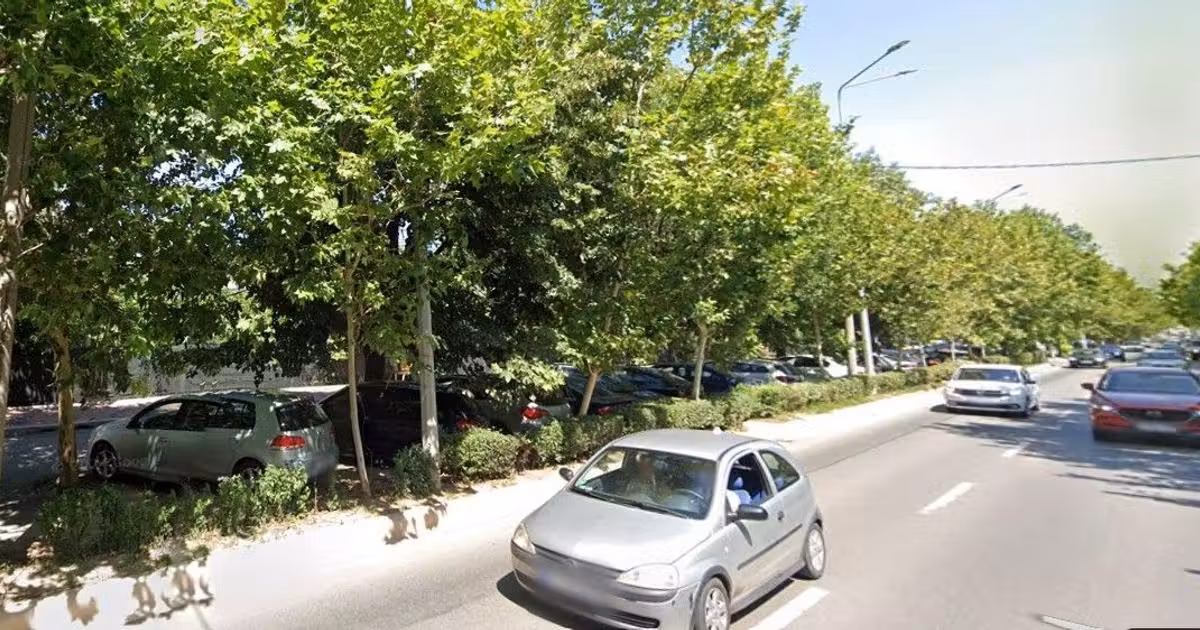 Teren Construcții intravilan de vânzare de 13850 mp, în zona Theodor Pallady, Sector 3