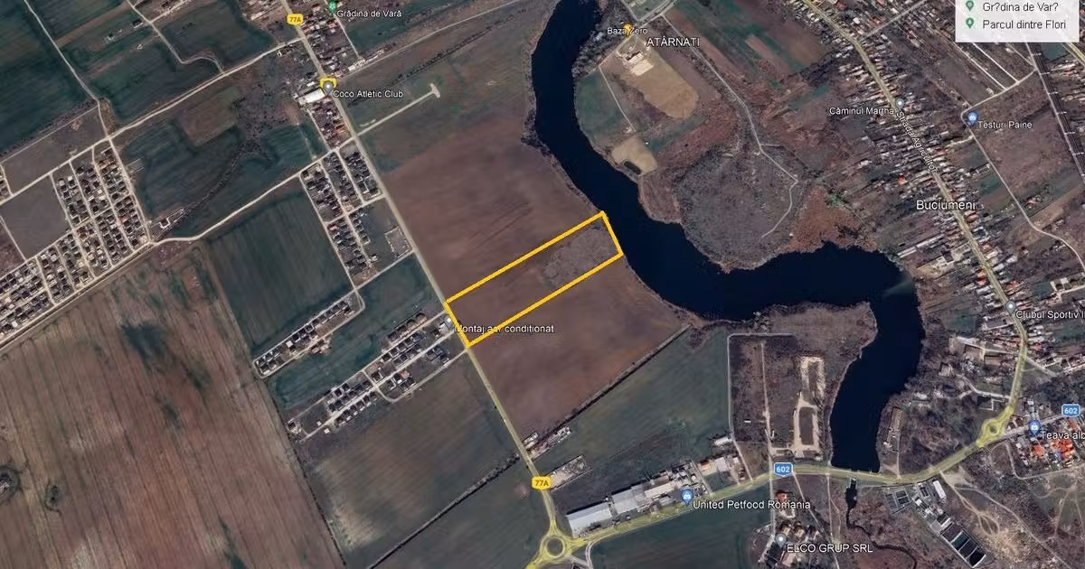 Teren Construcții intravilan de vânzare de 35264 mp, în Buftea