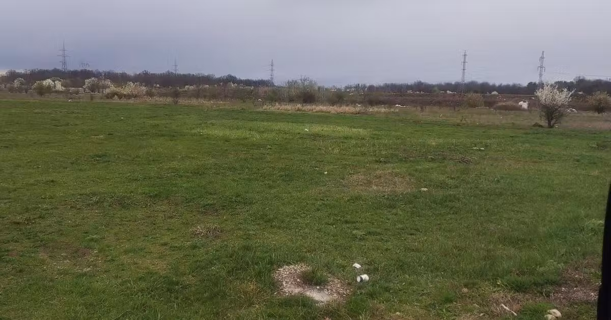 Teren Construcții intravilan de vânzare de 1667 mp, în Cernica