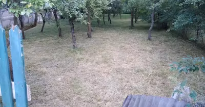 Teren Central