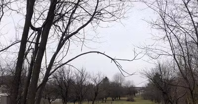 Teren Central