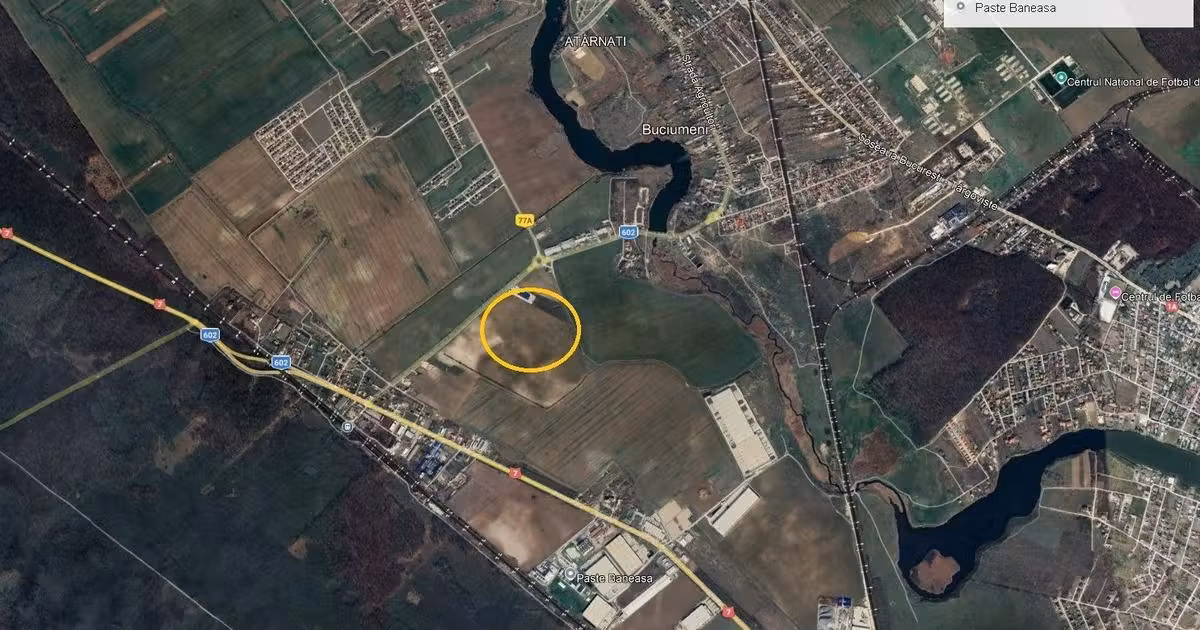 Teren Construcții intravilan de vânzare de 26500 mp, în Buftea