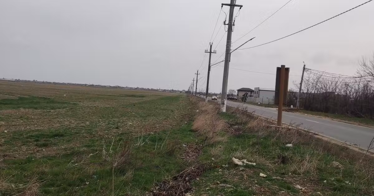 Teren Construcții intravilan de vânzare de 5000 mp, în Tânganu