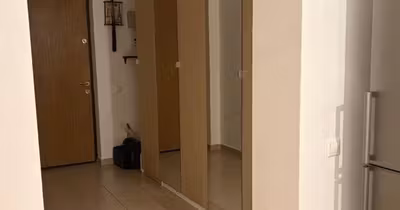 Apartament Theodor Pallady