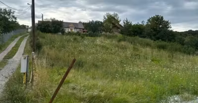 Teren Valea Borcutului