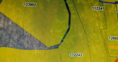 Teren Griviței