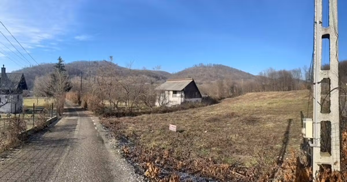 Teren intravilan de vânzare de 3600 mp, în Tăuții-Măgherăuș