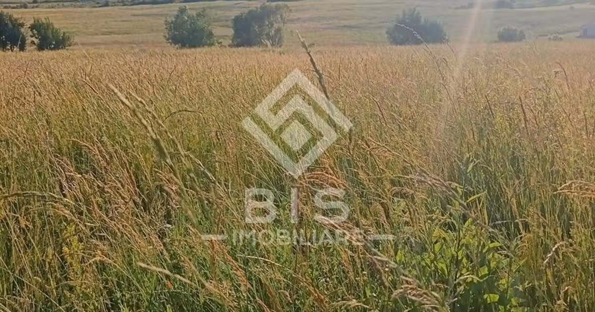 Teren agricol extravilan de vânzare de 5300 mp, în Galații Bistriței