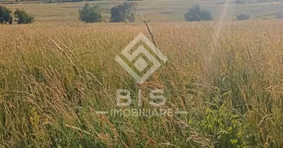 Teren Galații Bistriței