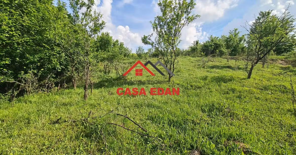 Teren Construcții intravilan de vânzare de 1954 mp, în Câmpina