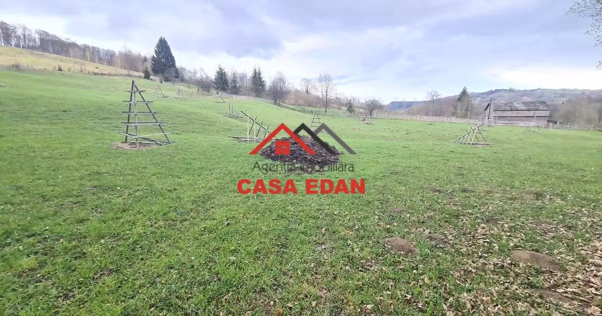 Teren extravilan de vânzare de 20500 mp, în Valea Doftanei