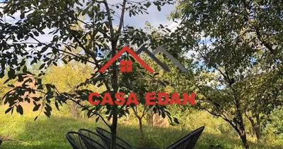 Teren Brebu Mânăstirei