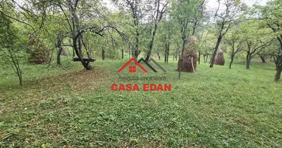 Teren Șotrile