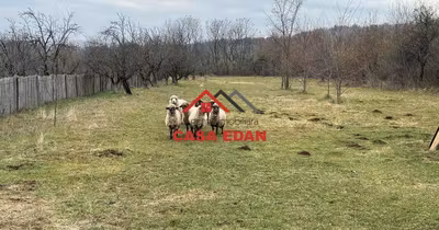 Teren Brebu Mânăstirei
