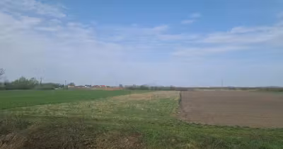 Teren Tractorul