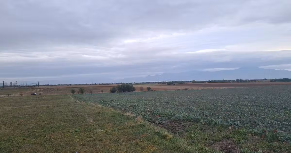 Teren agricol extravilan de vânzare de 48100 mp, în Hălchiu