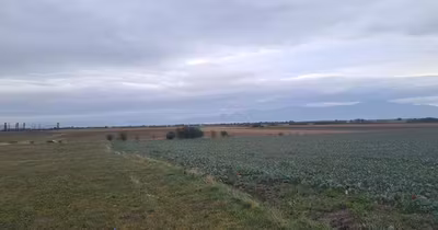Teren Tractorul
