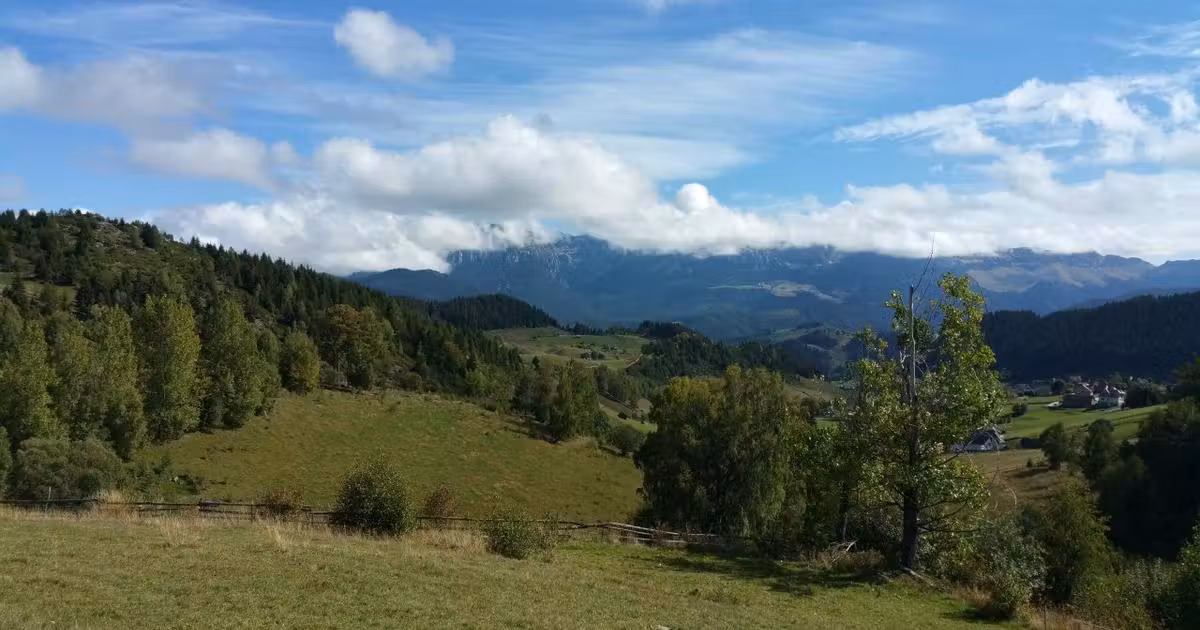 Teren agricol extravilan de vânzare de 17537 mp, în Fundata
