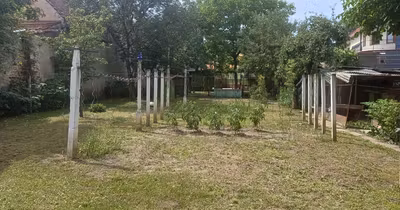 Casă Turnișor