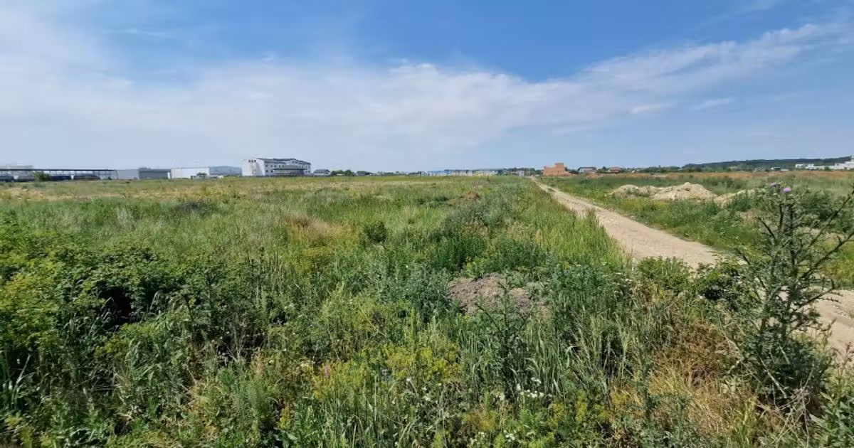 Teren Construcții intravilan de vânzare de 20000 mp, în Otopeni