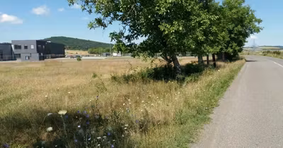 Teren Glodeni