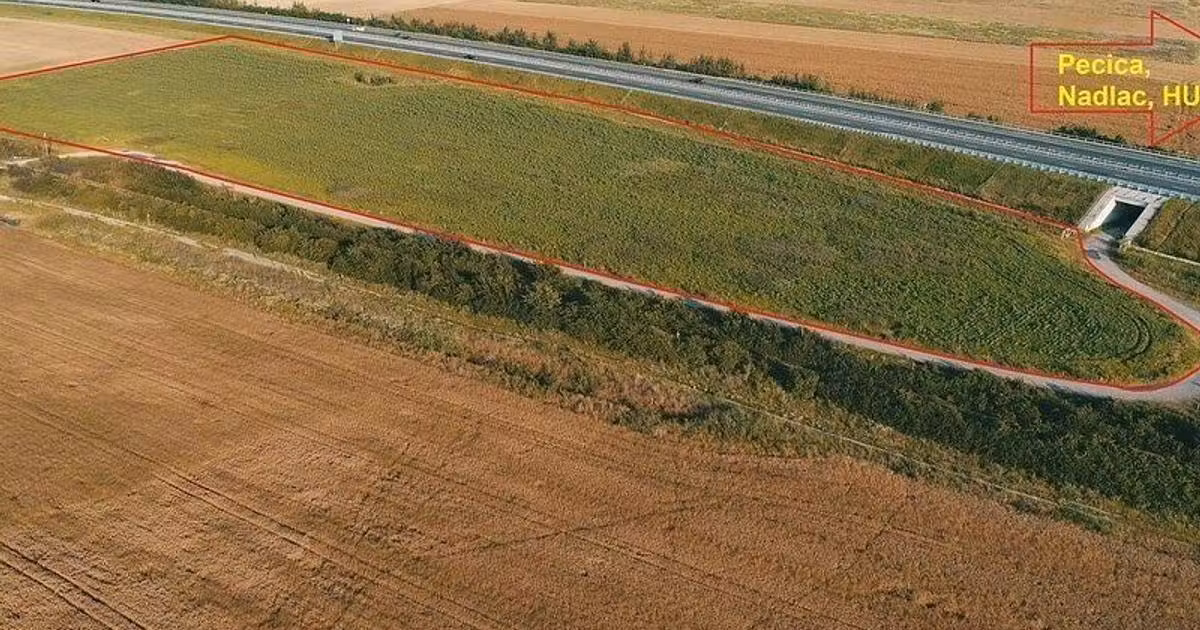 Teren Construcții extravilan de vânzare de 35000 mp, în Pecica