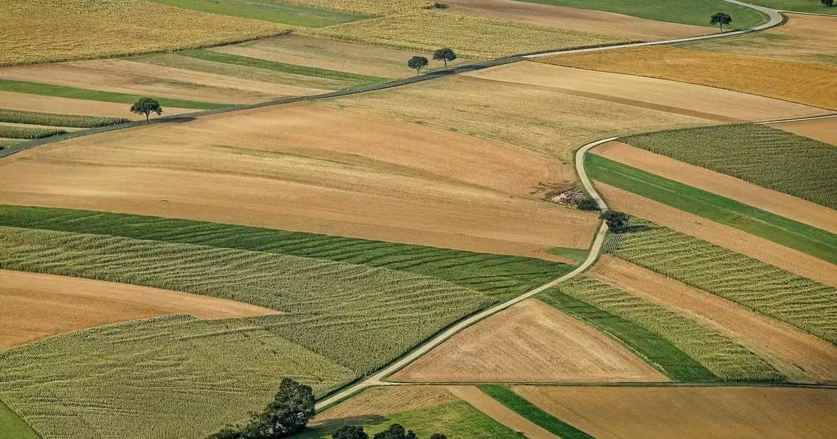 Teren agricol extravilan de vânzare de 10000 mp, în Lipova