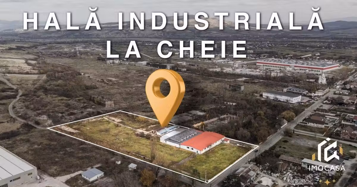 Spațiu industrial de vânzare în Călanu Mic