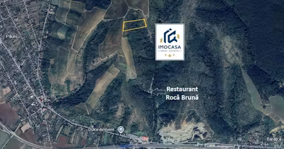 Teren Păuliș